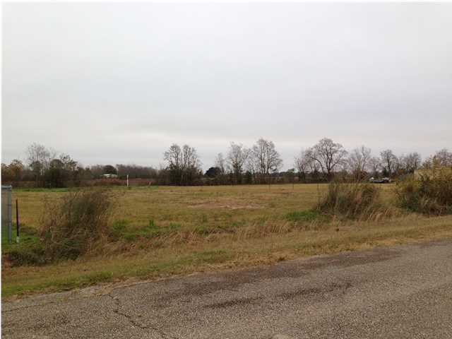 307 Reggie Road Duson, LA 70529 - Photo 1 of 2