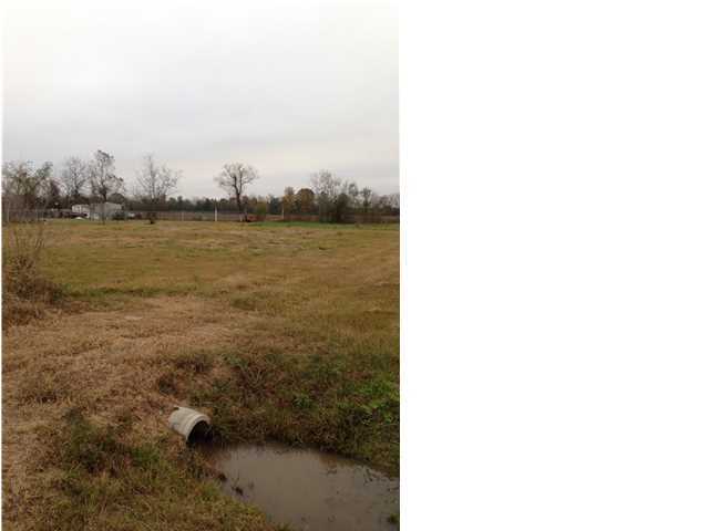 307 Reggie Road Duson, LA 70529 - Photo 2 of 2