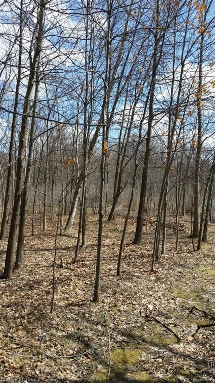 Vacant North Vacant N Forest Road Leonard, MI 48367 - Photo 1 of 1
