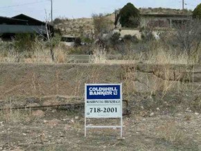 Primary Photo