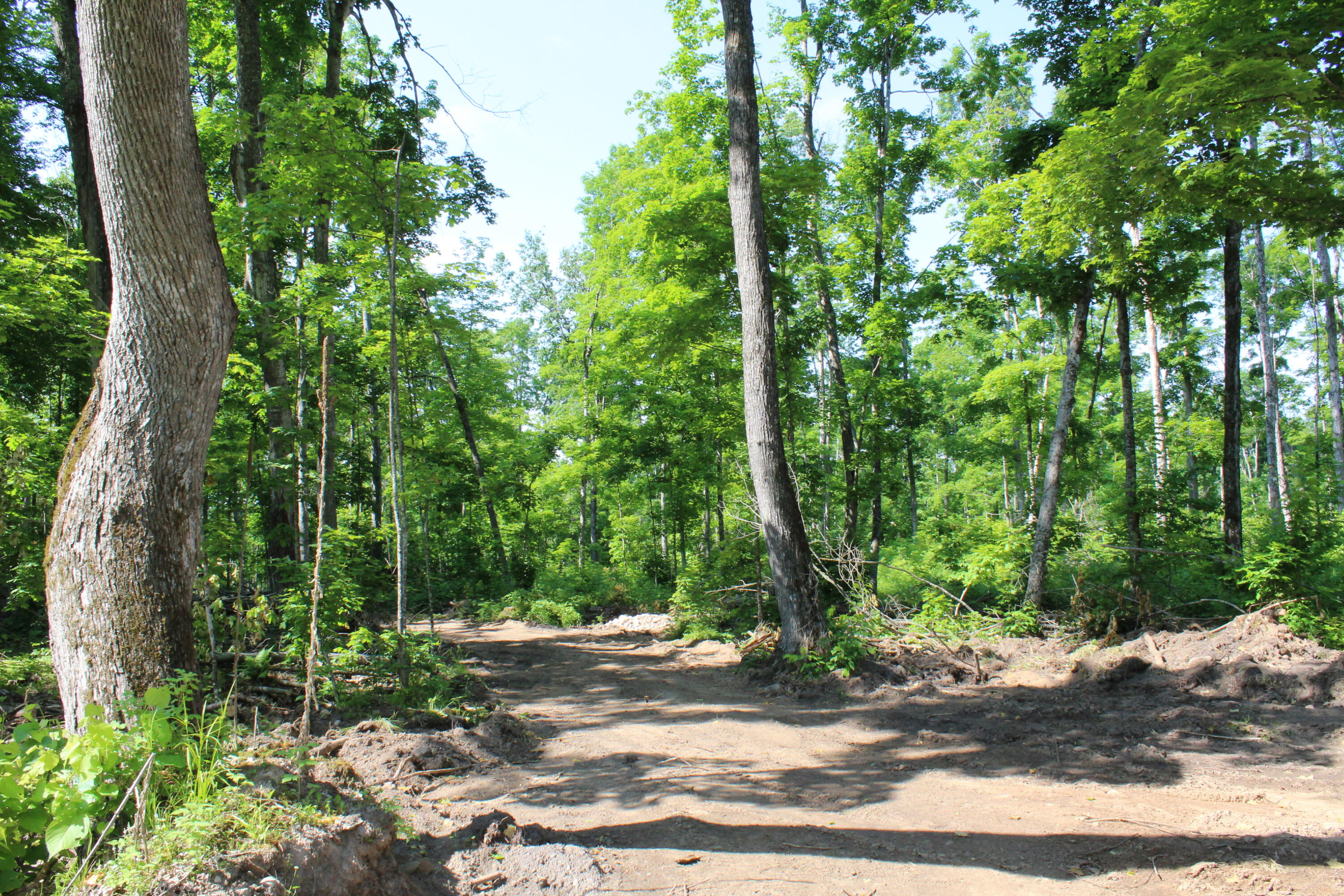 0 McGahn Road Germfask, MI 49836 - Photo 12 of 22 IMG_2442