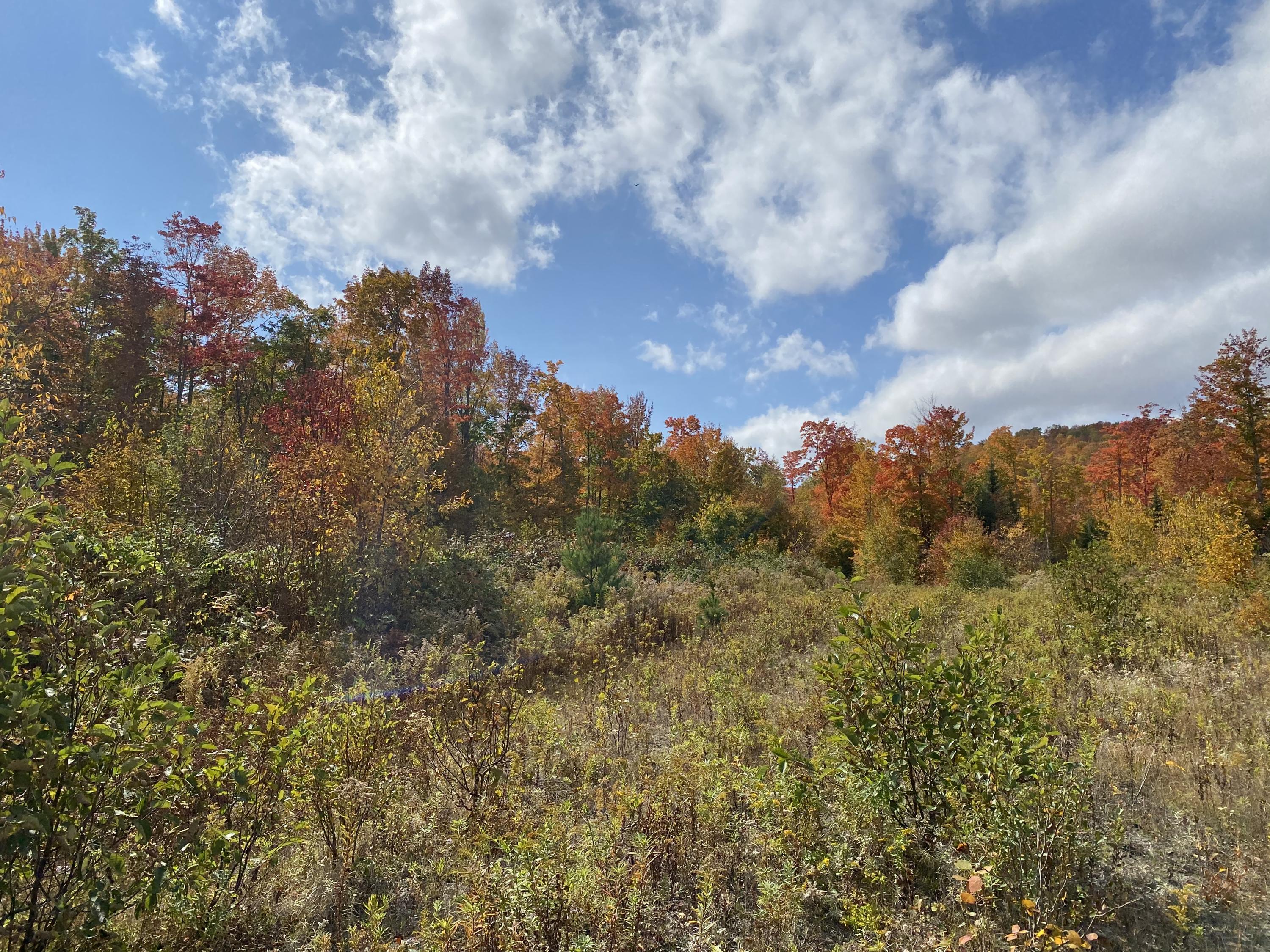 57 Mt Blue Pond Road Avon, ME 04966 - Photo 22 of 44 IMG_1748