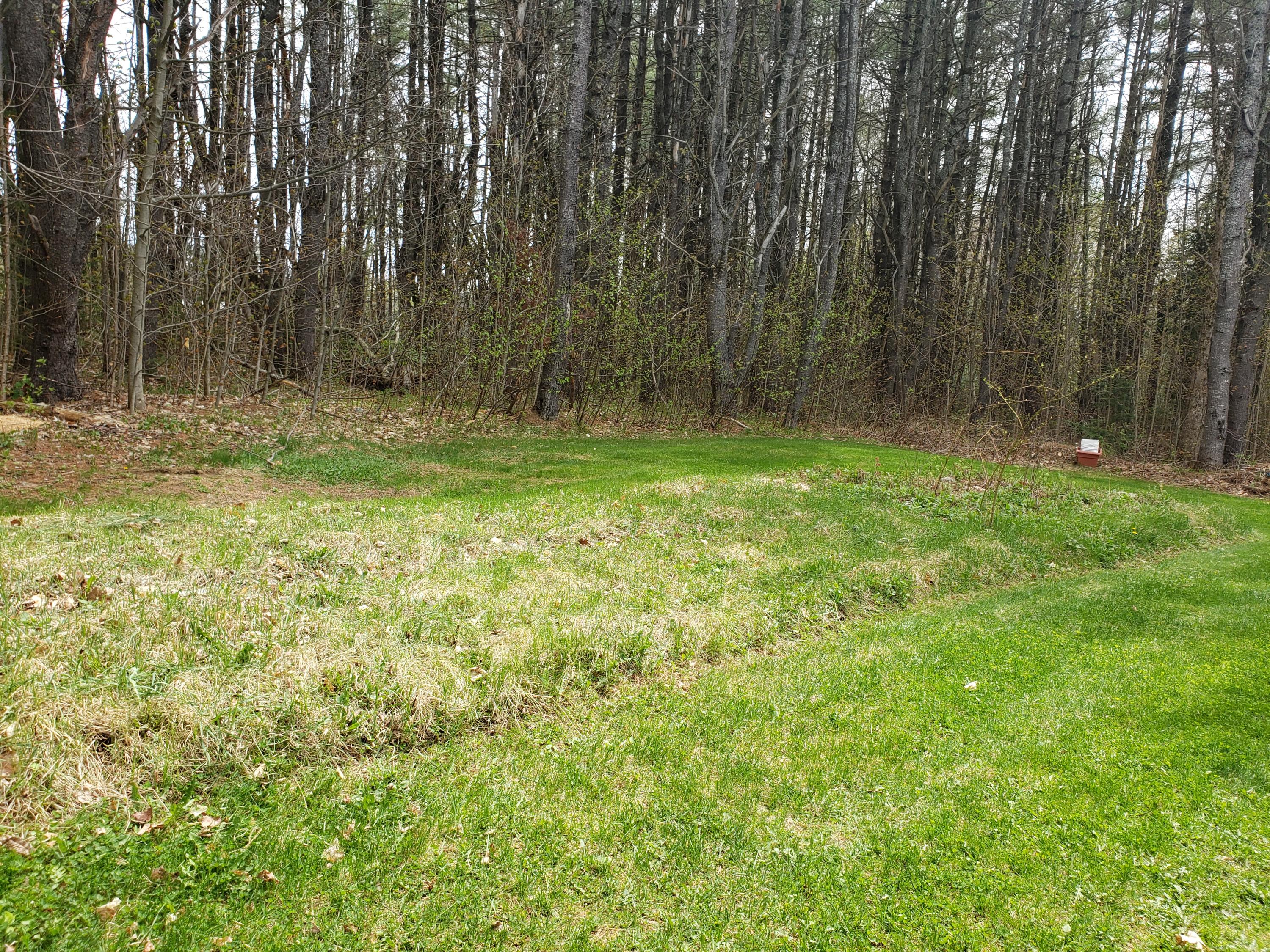 801 Hampden Road Carmel, ME 04419 - Photo 31 of 40 20210503_120234