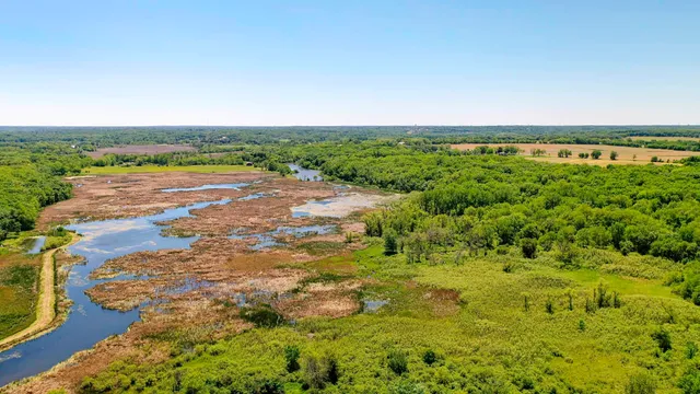 a view of a field with an ocean