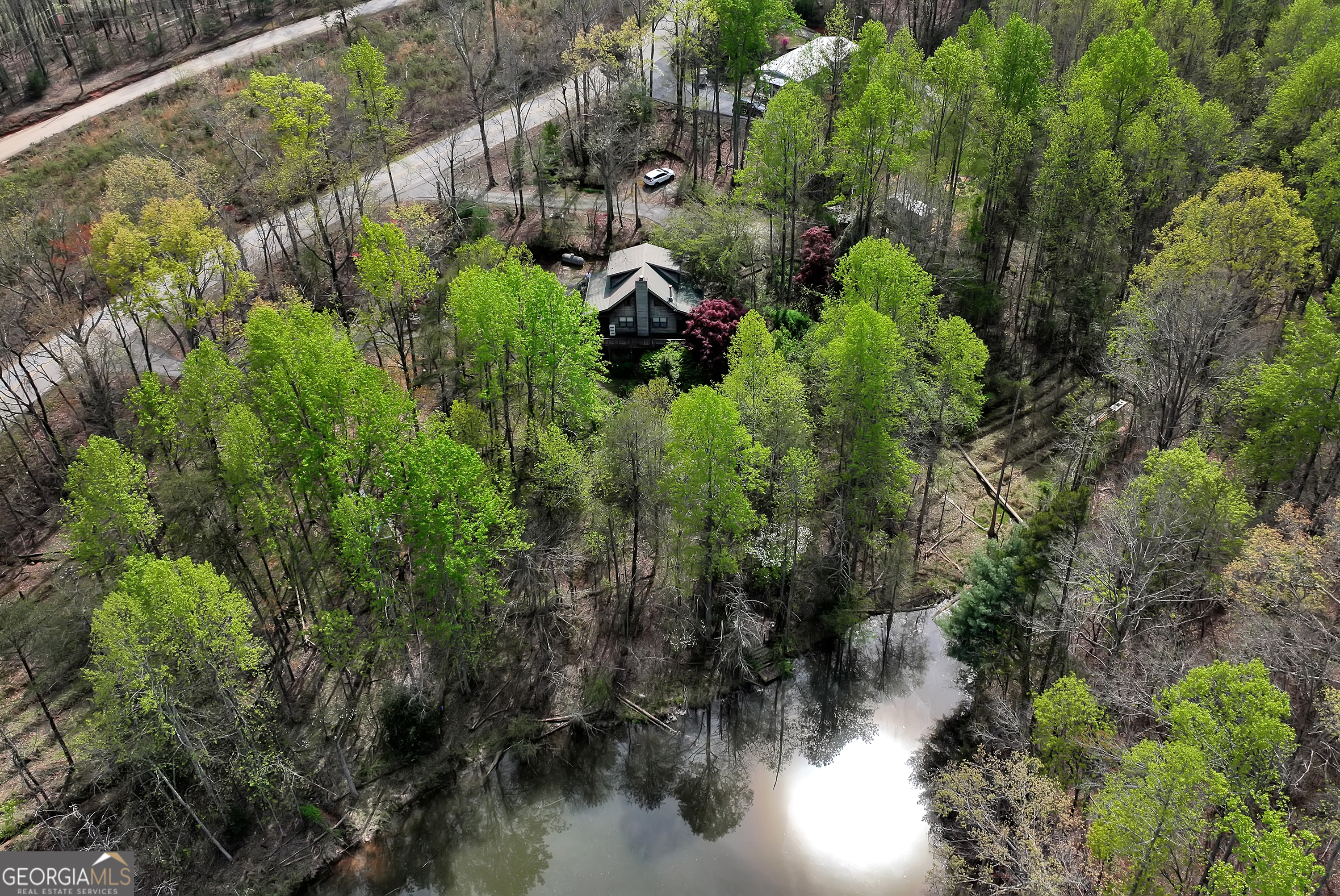3188 Paradise Valley Road Cleveland, GA 30528 - Photo 1 of 1 a picture of trees with lots of plants and trees