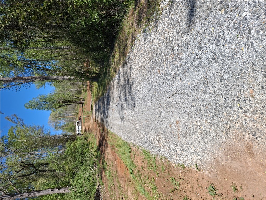 16077 South Radio Station Road Seneca, SC 29678 - Photo 2 of 9 A long, gravel driveway leads through a wooded landscape, offering a private and secluded approach.