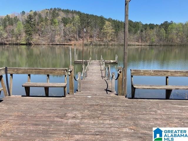 3400 Idaho Road Ashland, AL 36251 - Photo 33 of 41