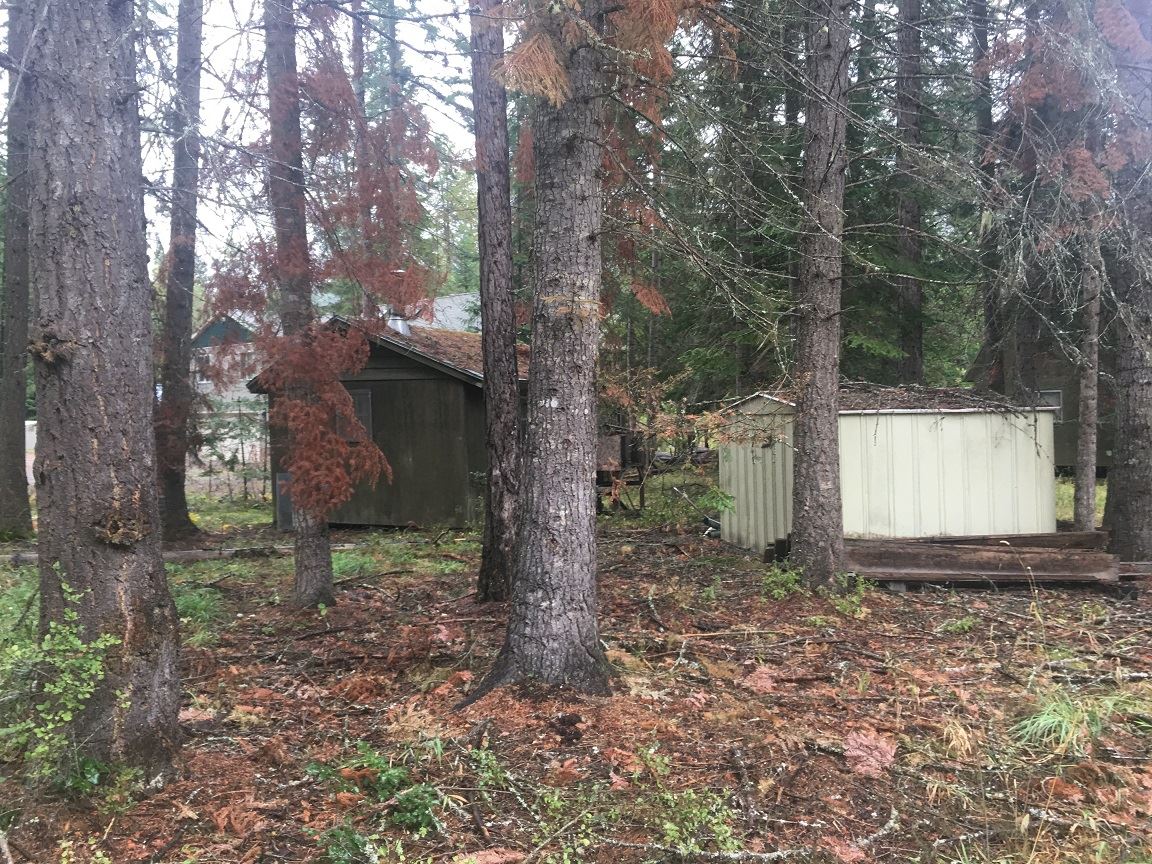 1171 Graham Road Cusick, WA 99119 - Photo 15 of 26