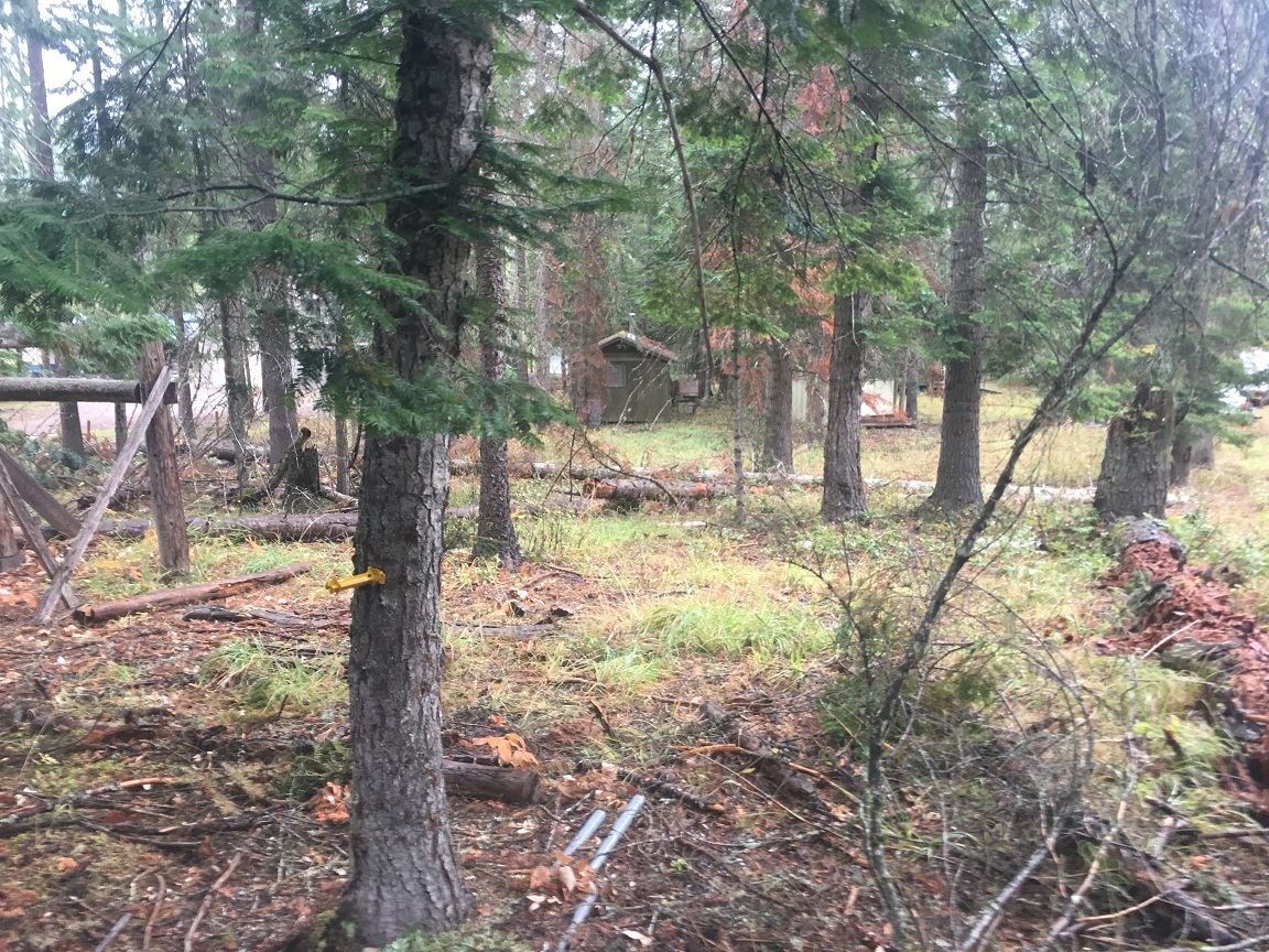 1171 Graham Road Cusick, WA 99119 - Photo 16 of 26