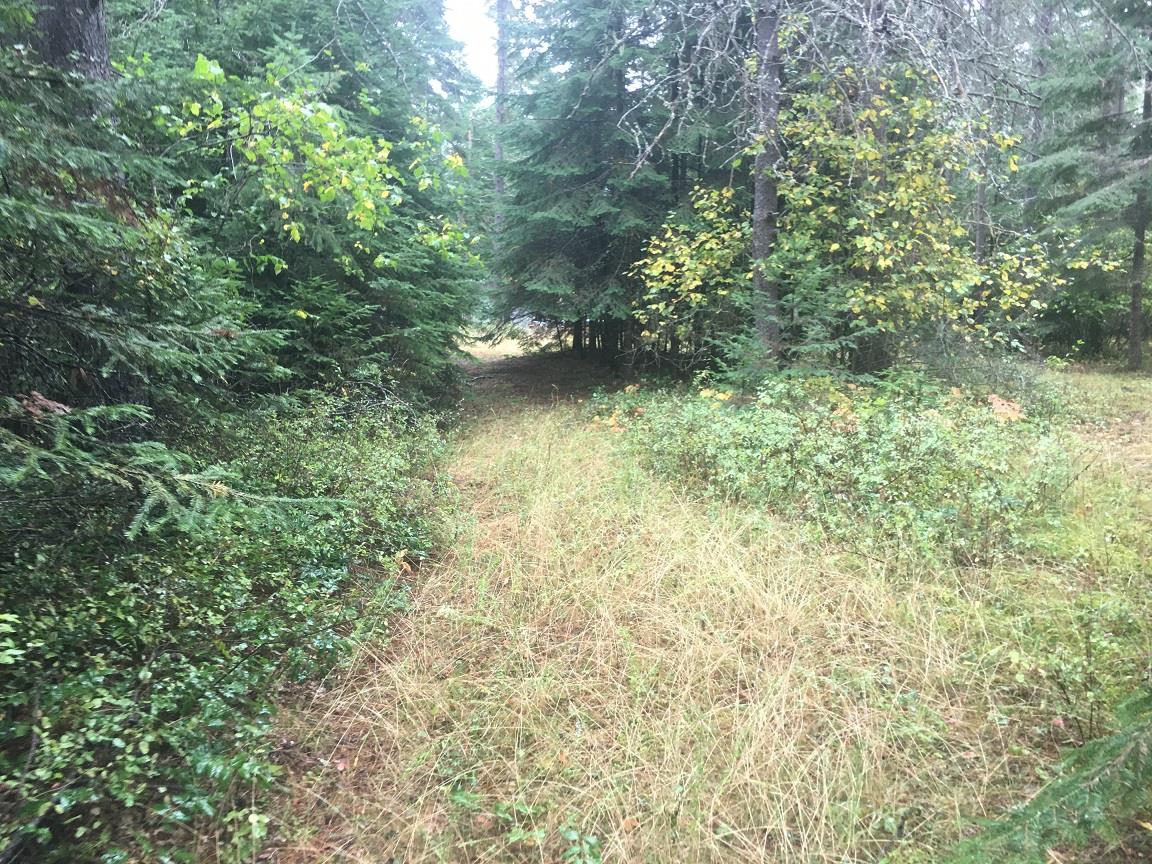 1171 Graham Road Cusick, WA 99119 - Photo 22 of 26