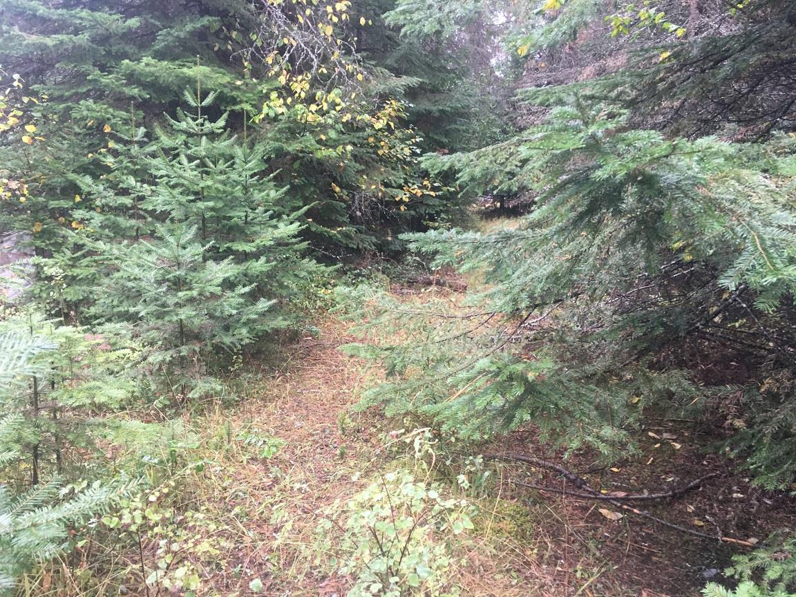 1171 Graham Road Cusick, WA 99119 - Photo 23 of 26
