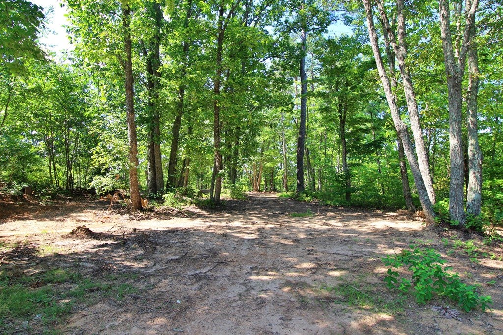 Community Road, Unit 364 Gladstone, VA 24553 - Photo 12 of 13 Gallery Image 12
