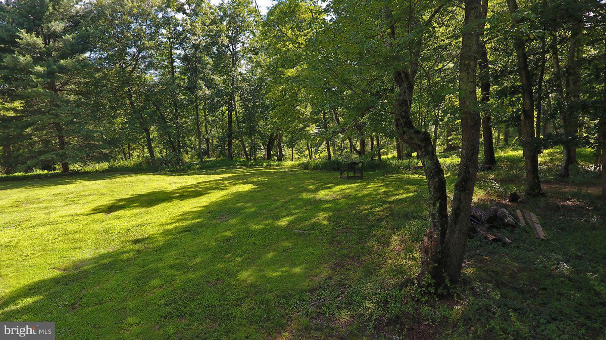313 Scrabble Road Castleton, VA 22716 - Photo 15 of 30 Exterior (General)