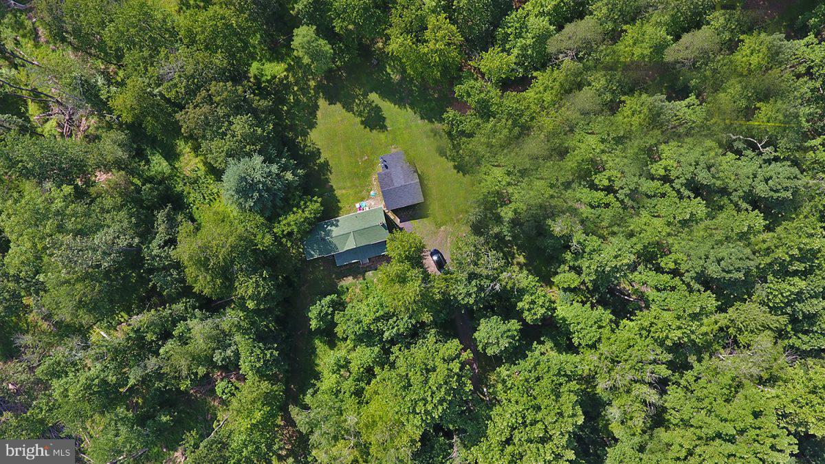 313 Scrabble Road Castleton, VA 22716 - Photo 6 of 30 Exterior (General)