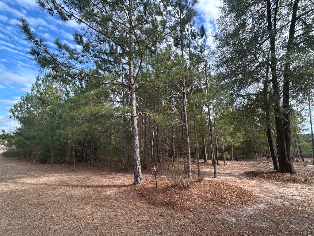 9-ac Whittle Hudson Road Ozark, AL 36360 - Photo 14 of 34