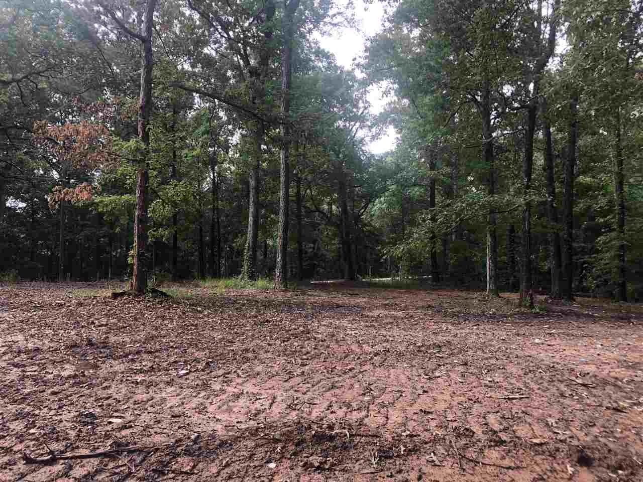 966 Mullican Road, Unit 1 Florence, MS 39073 - Photo 3 of 6 Photo 3