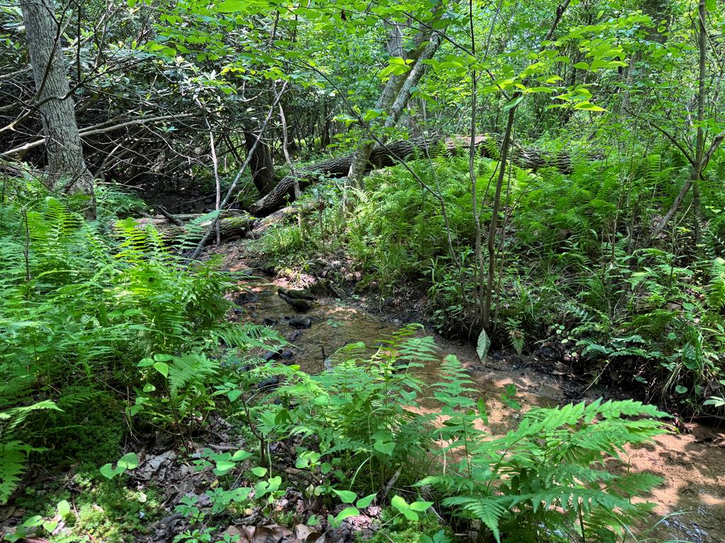 0 Old Mill Road Patrick Springs, VA 24133 - Photo 11 of 16 Gallery Image 11