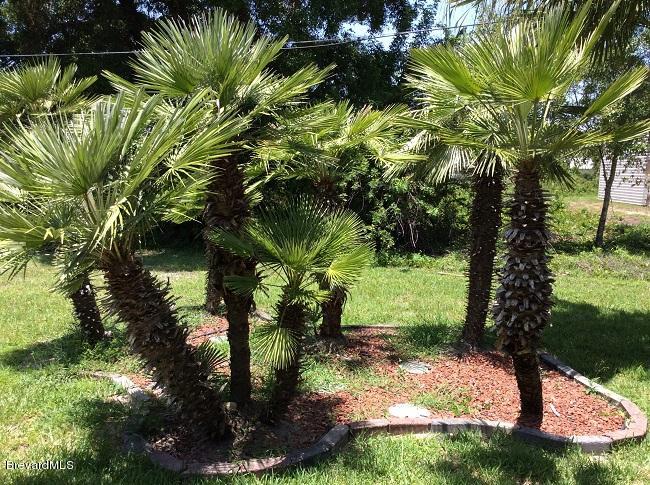 1230 Packer Road Southeast Palm Bay, FL 32909 - Photo 4 of 14 Landscaping