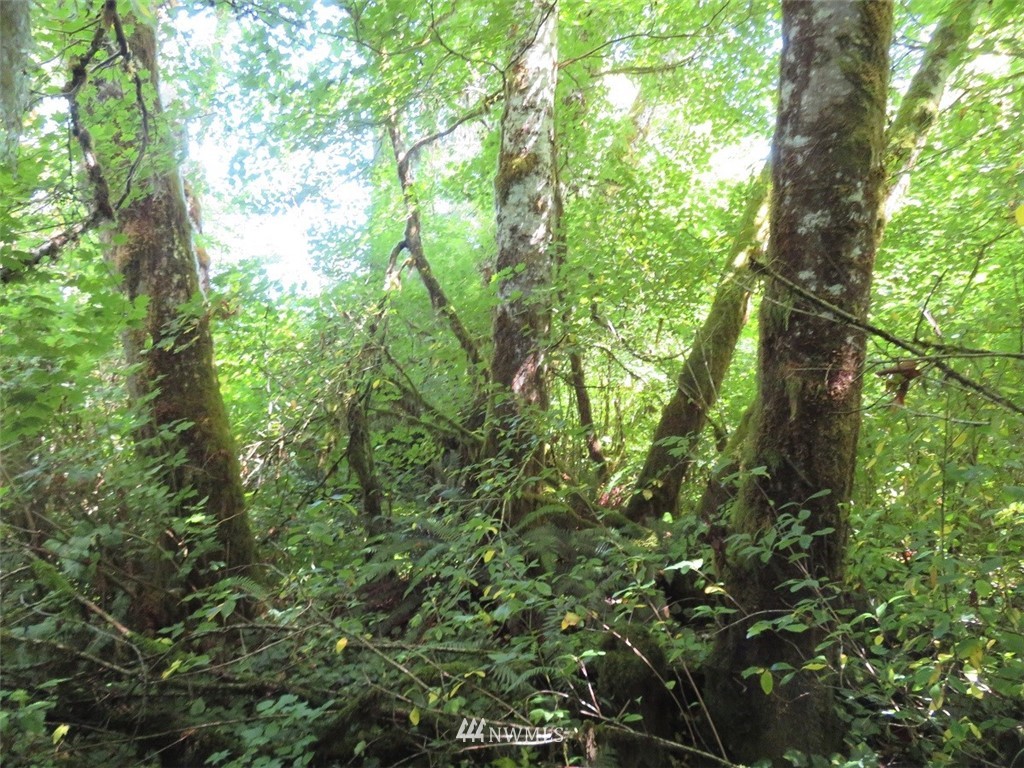 -xxx Walker Road Hoquiam, WA 98550 - Photo 12 of 28 Gallery Image 12
