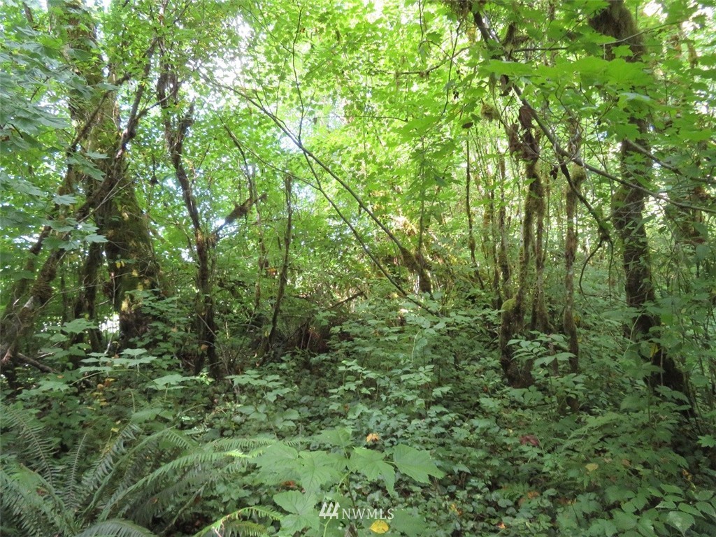 -xxx Walker Road Hoquiam, WA 98550 - Photo 13 of 28 Gallery Image 13