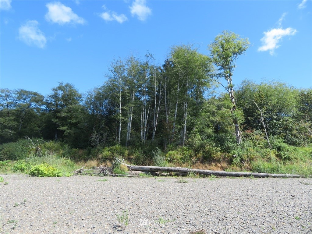 -xxx Walker Road Hoquiam, WA 98550 - Photo 14 of 28 Gallery Image 14