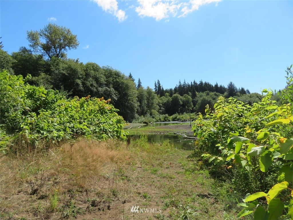-xxx Walker Road Hoquiam, WA 98550 - Photo 6 of 28 Gallery Image 6