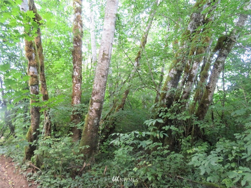 -xxx Walker Road Hoquiam, WA 98550 - Photo 9 of 28 Gallery Image 9