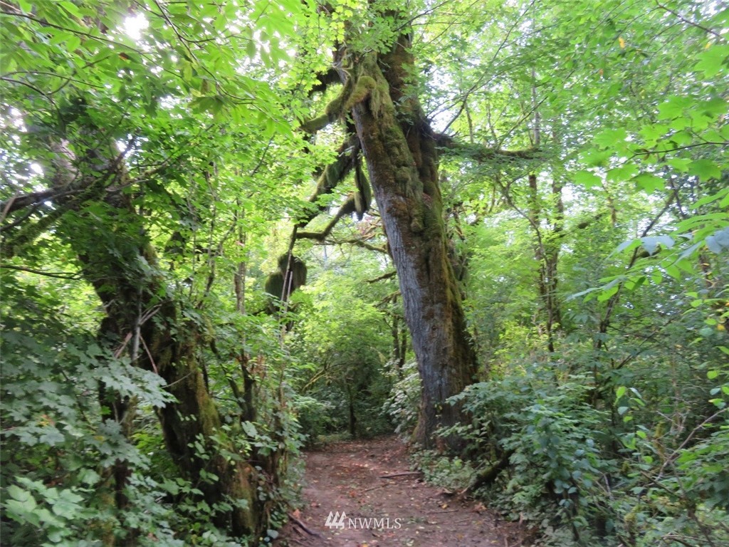 -xxx Walker Road Hoquiam, WA 98550 - Photo 10 of 28 Gallery Image 10