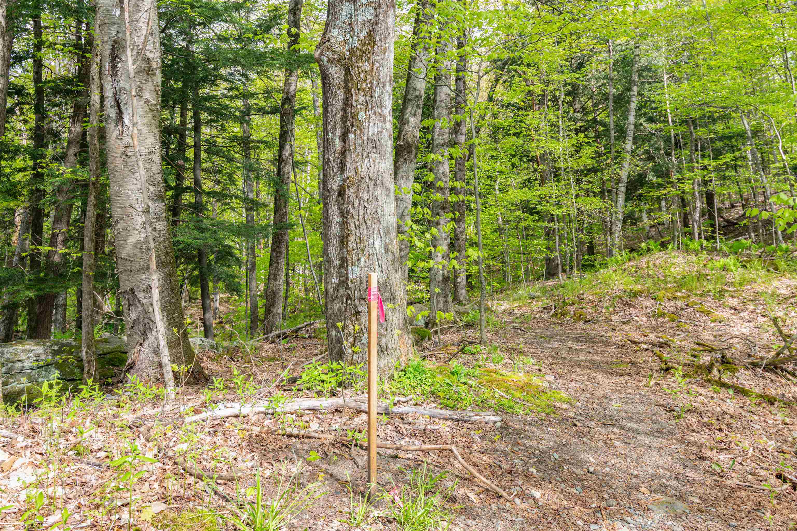 0 Phen Basin Road Waitsfield, VT 05673 - Photo 10 of 10
