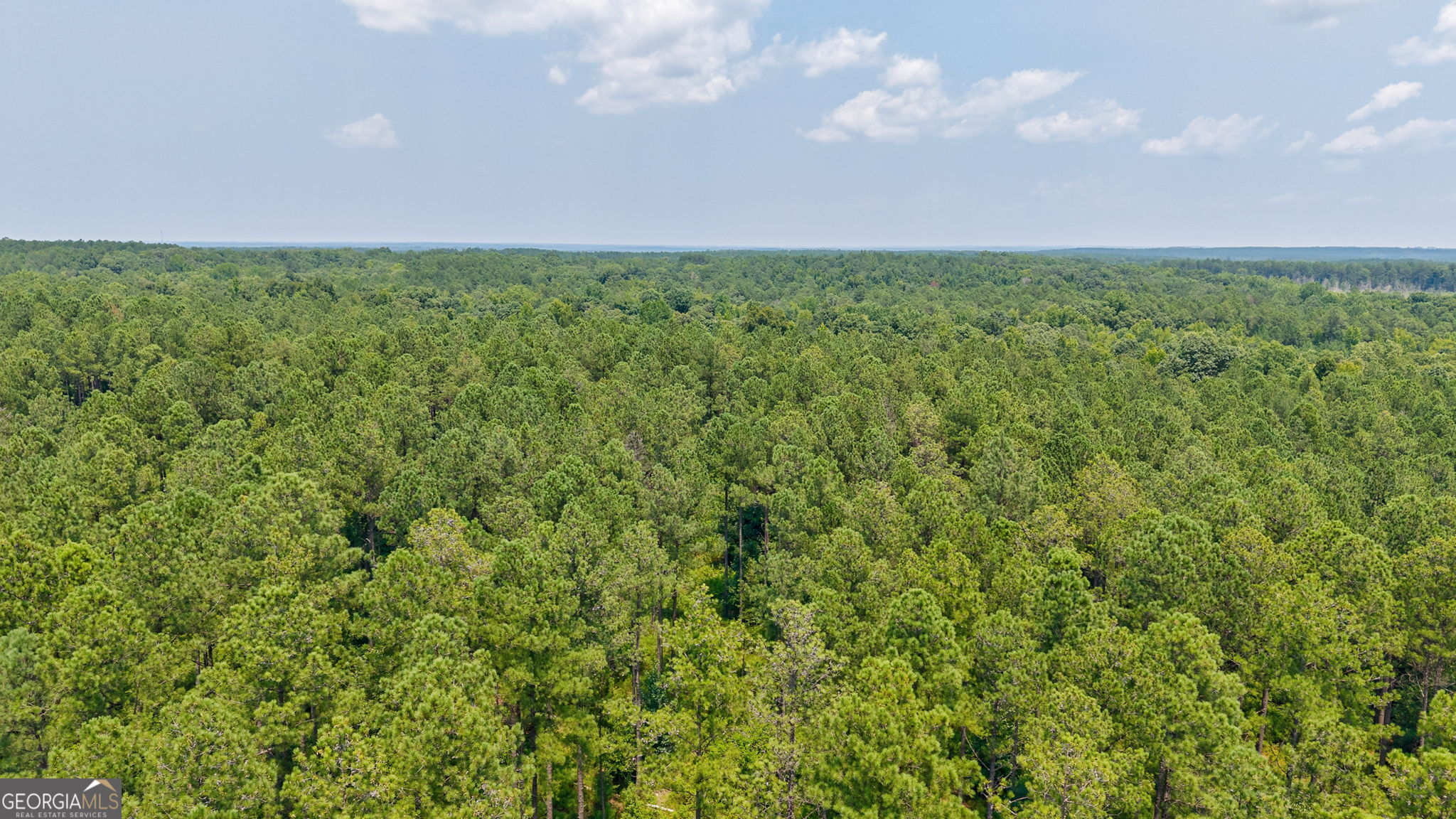 0 Jabez Poyner Road Carlton, GA 30627 - Photo 25 of 25 Gallery Image 25
