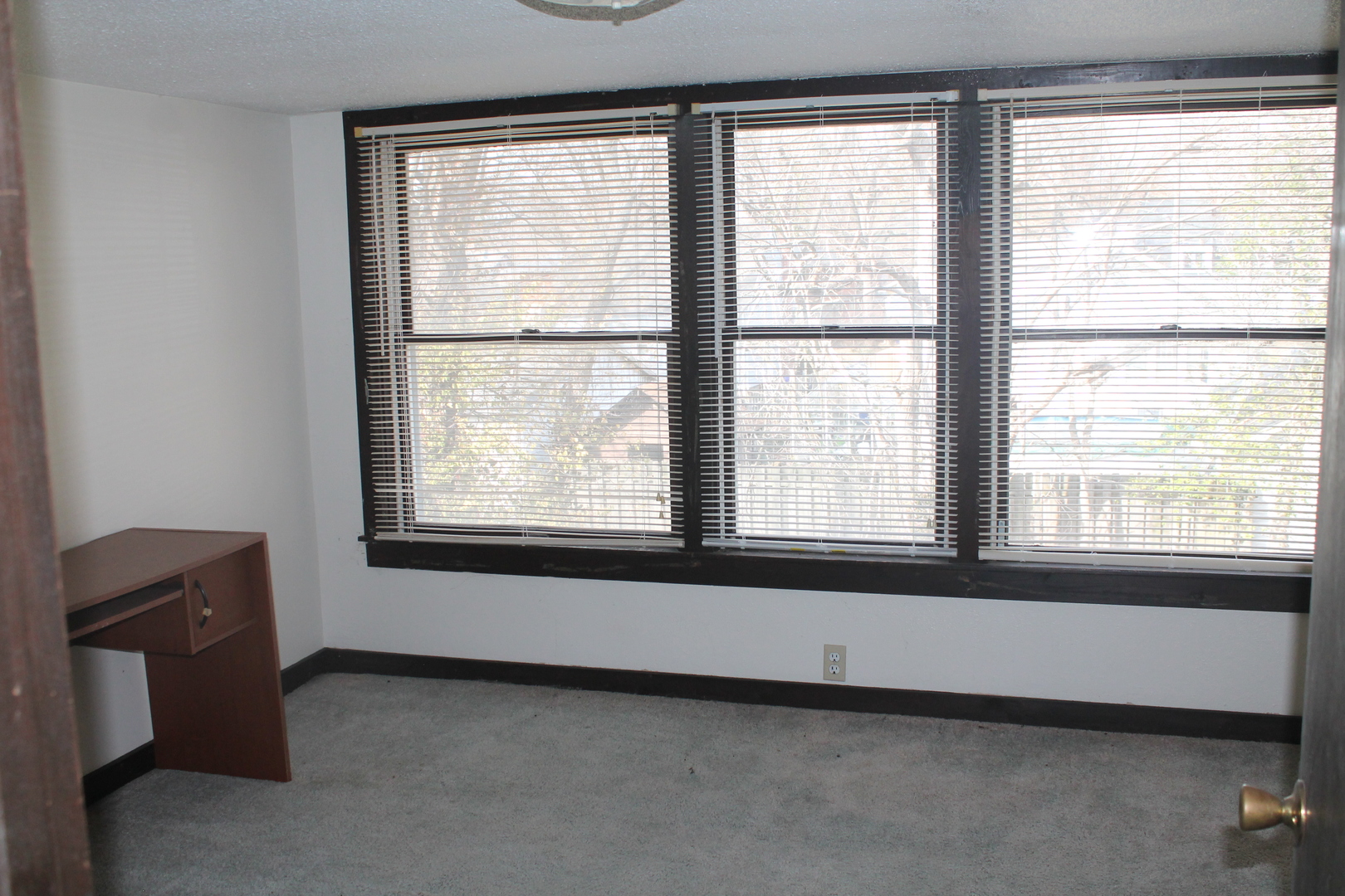 610 West Cherry Street, Unit 2 Carbondale, IL 62901 - Photo 16 of 21