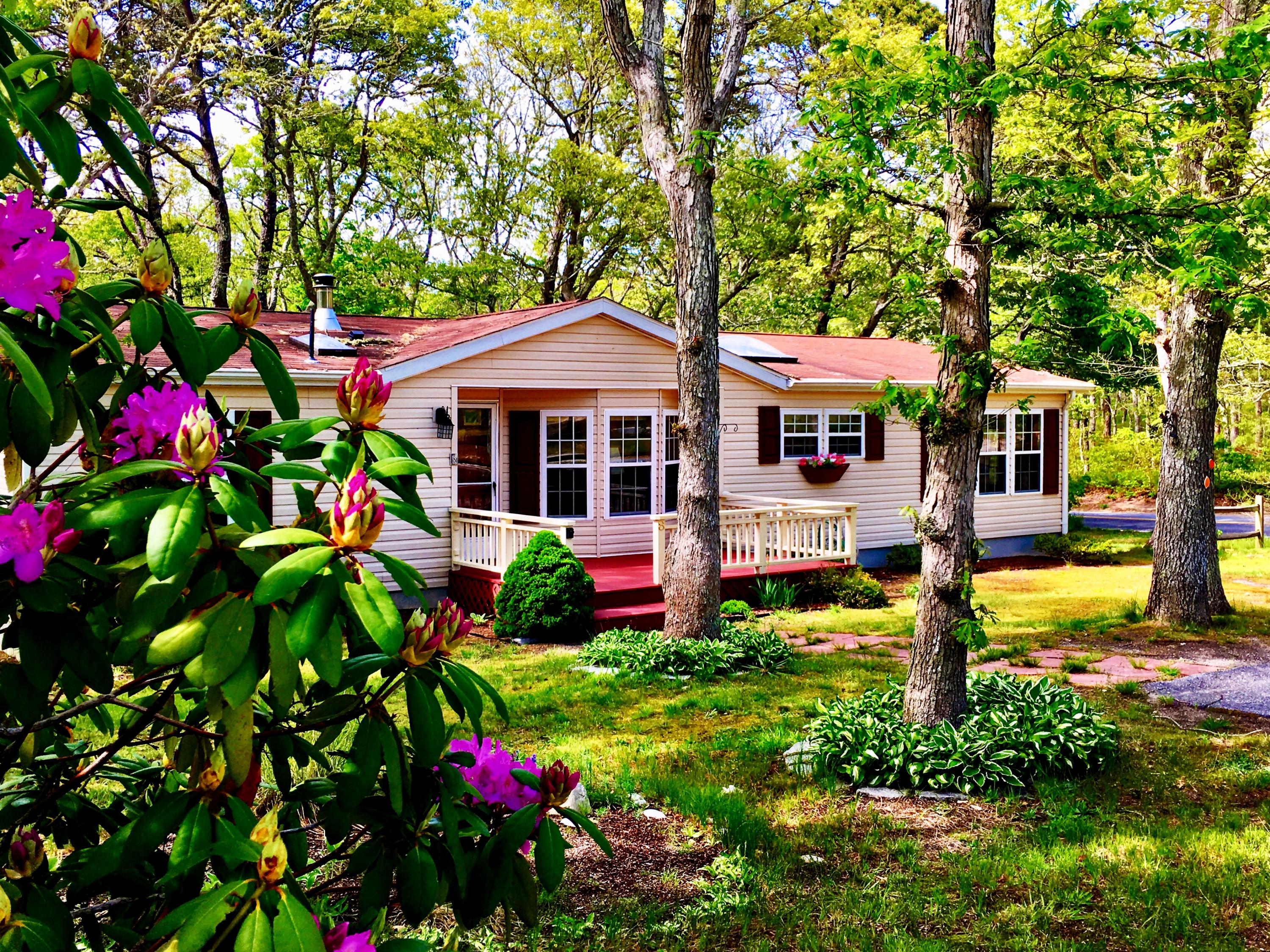 8 Pine Pond Road Brewster, MA 02631 - Photo 1 of 33 File May 24, 5 37 32 PM