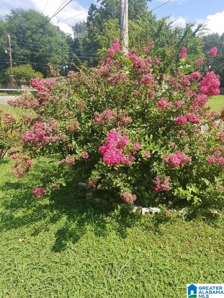 29 Martin Street Bessemer, AL 35020 - Photo 6 of 7