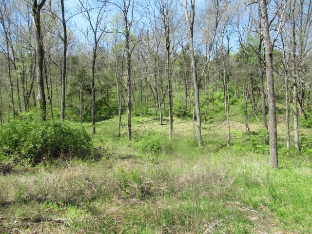 1424 Willisburg Road Lawrenceburg, KY 40342 - Photo 7 of 9 IMG_1624 (Small)