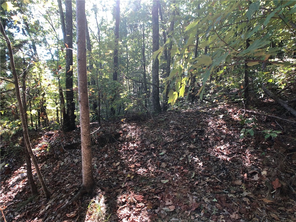 0 Curts Way Pickens, SC 29671 - Photo 13 of 41
