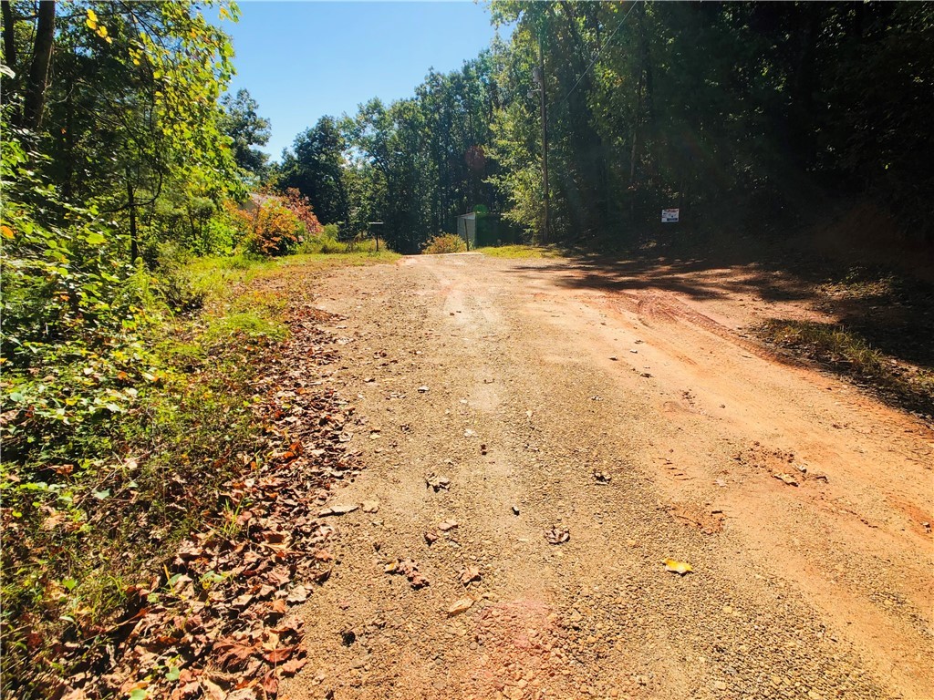 0 Curts Way Pickens, SC 29671 - Photo 31 of 41