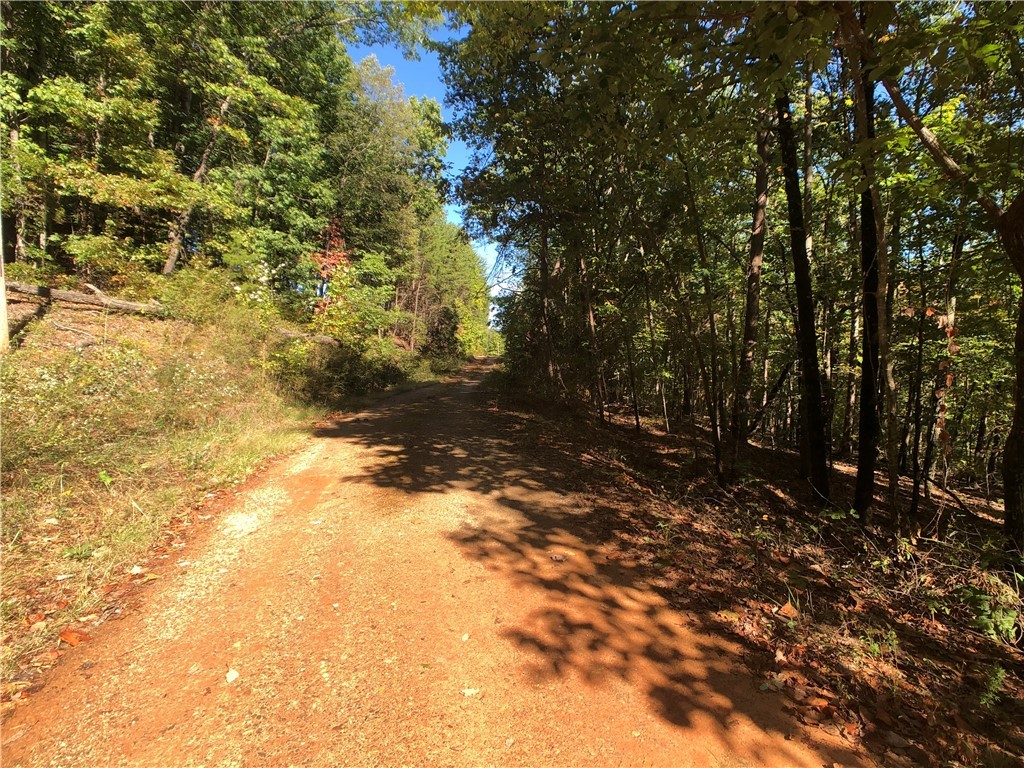 0 Curts Way Pickens, SC 29671 - Photo 32 of 41