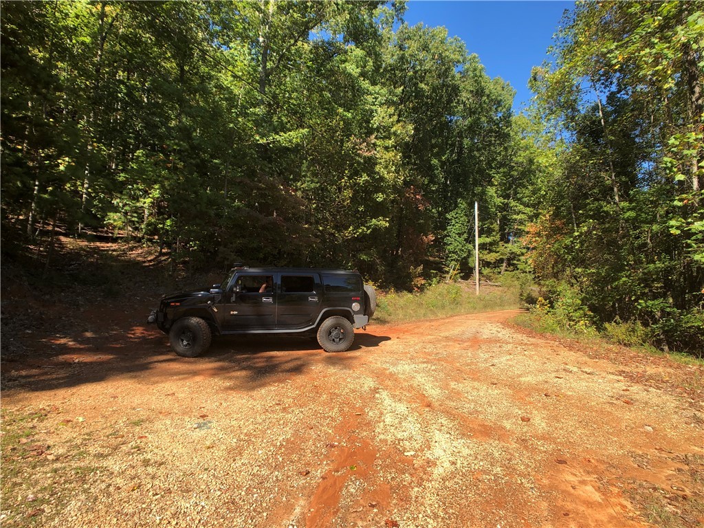 0 Curts Way Pickens, SC 29671 - Photo 4 of 41