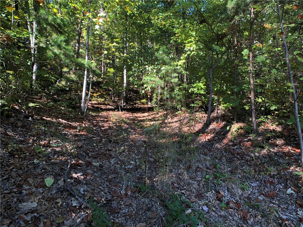 0 Curts Way Pickens, SC 29671 - Photo 6 of 41