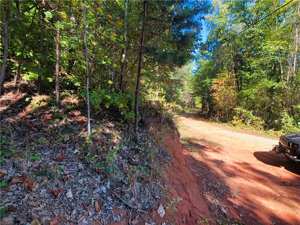 0 Curts Way Pickens, SC 29671 - Photo 7 of 41