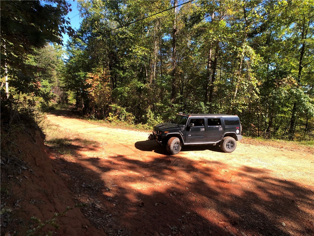 0 Curts Way Pickens, SC 29671 - Photo 8 of 41