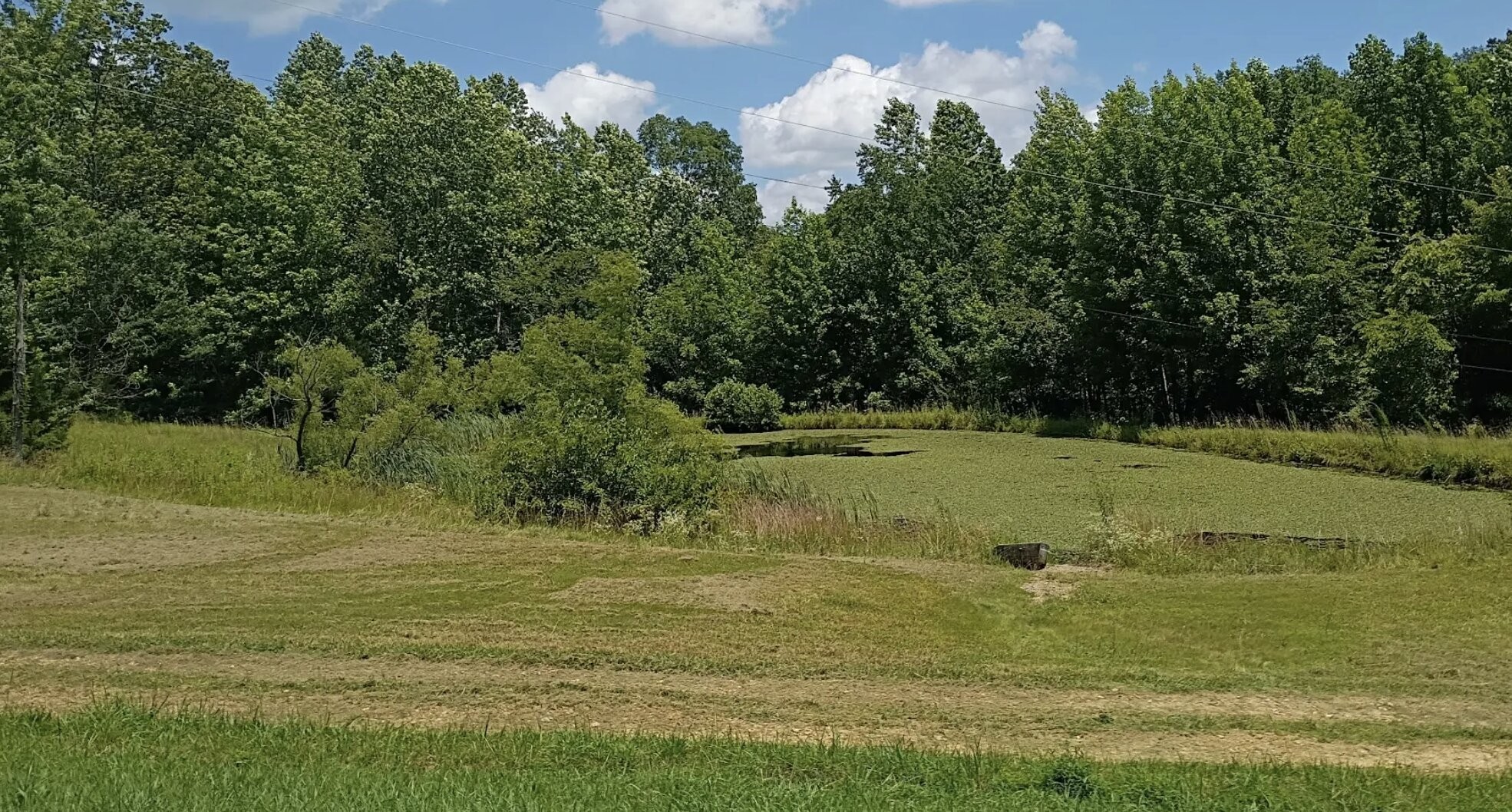 162 Tracy Road Hohenwald, TN 38462 - Photo 45 of 45