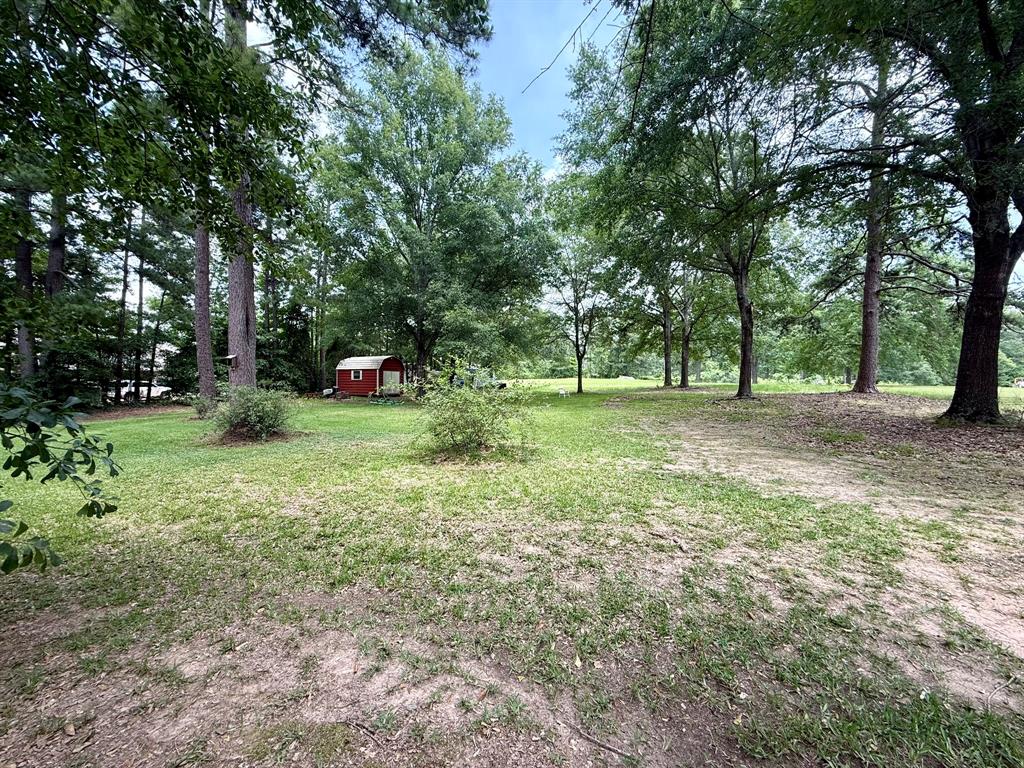 11535 Timber Ridge Drive Keithville, LA 71047 - Photo 36 of 39 a view of a yard with a tree