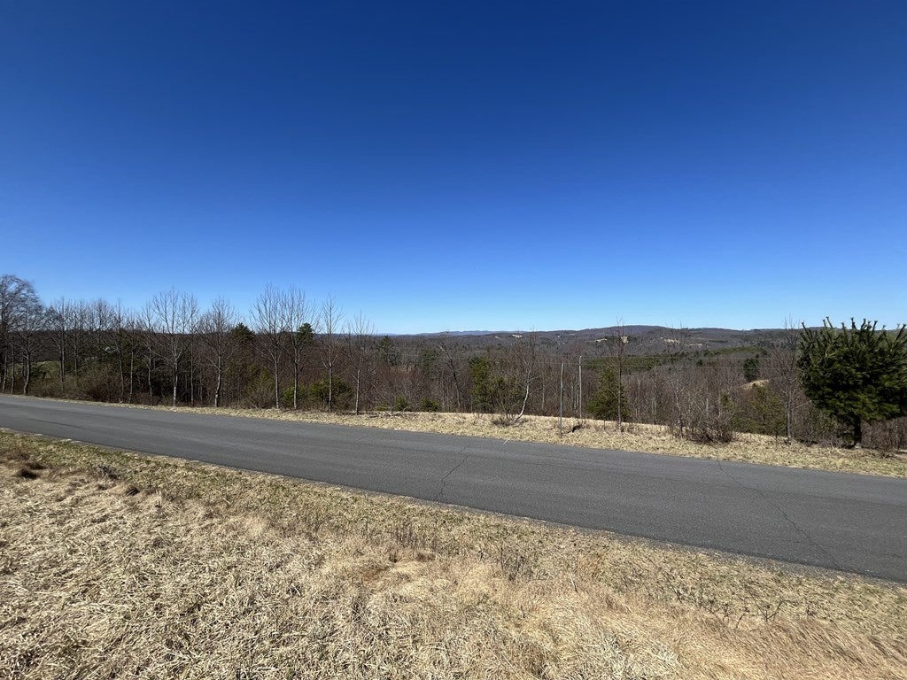 Tbd Silver Leaf Road Dugspur, VA 24325 - Photo 8 of 19 Gallery Image 8
