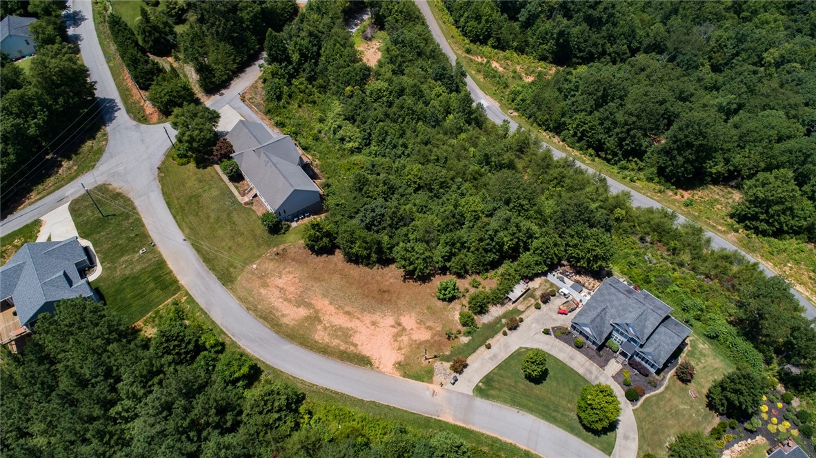 496 Packs Mountain Ridge Road Taylors, SC 29687 - Photo 3 of 5