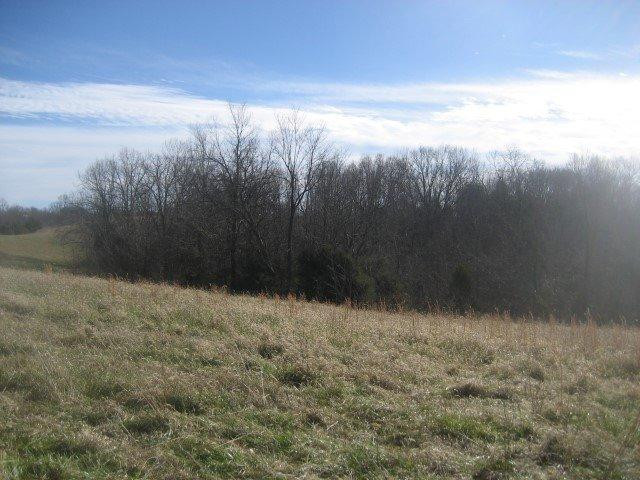1370 Mays Road Lawrenceburg, KY 40342 - Photo 2 of 24 Photo 2