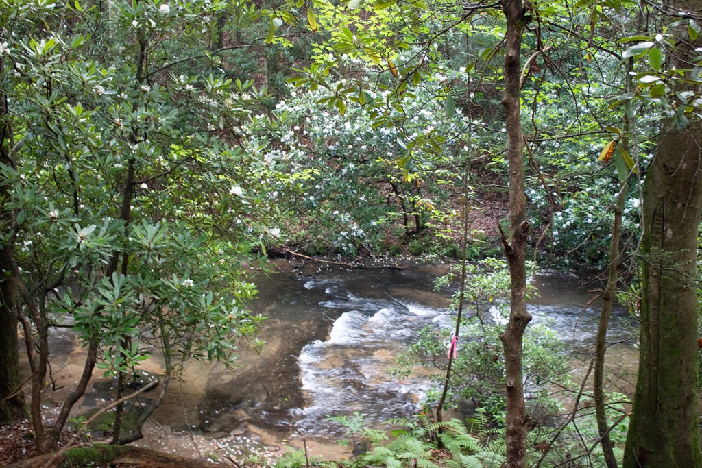 1990 Big Creek Road Cherry Log, GA 30522 - Photo 13 of 72 Gallery Image 13
