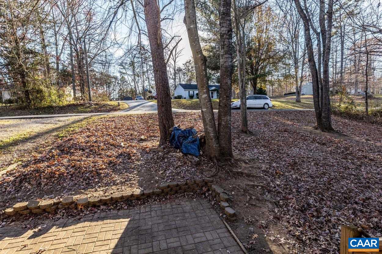 212 Petunia Road Ruckersville, VA 22968 - Photo 28 of 32 a view of road with trees