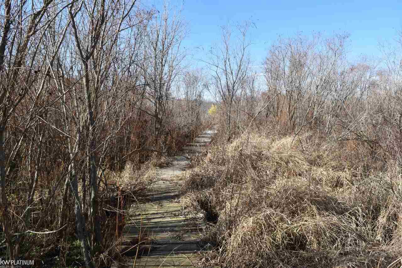 4179 Kilgore Road Avoca, MI 48006 - Photo 27 of 51