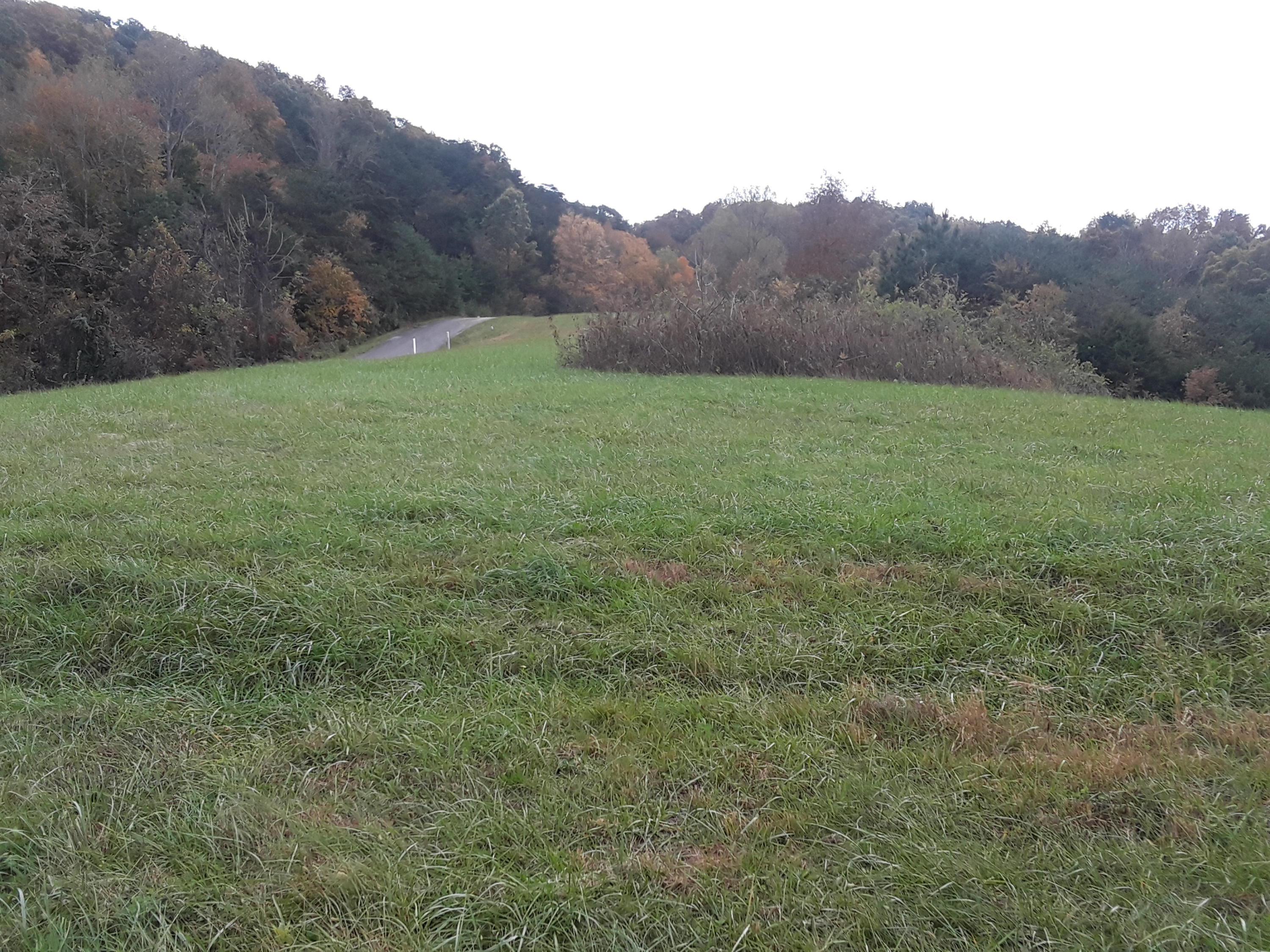 Sierra Ridge Road Sharps Chapel, TN 37866 - Photo 4 of 7 20181031_145244